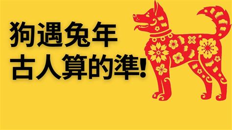 屬狗今日財運方位|【屬狗方位】肖狗方位運勢大揭秘：最適宜的樓層、方位導引